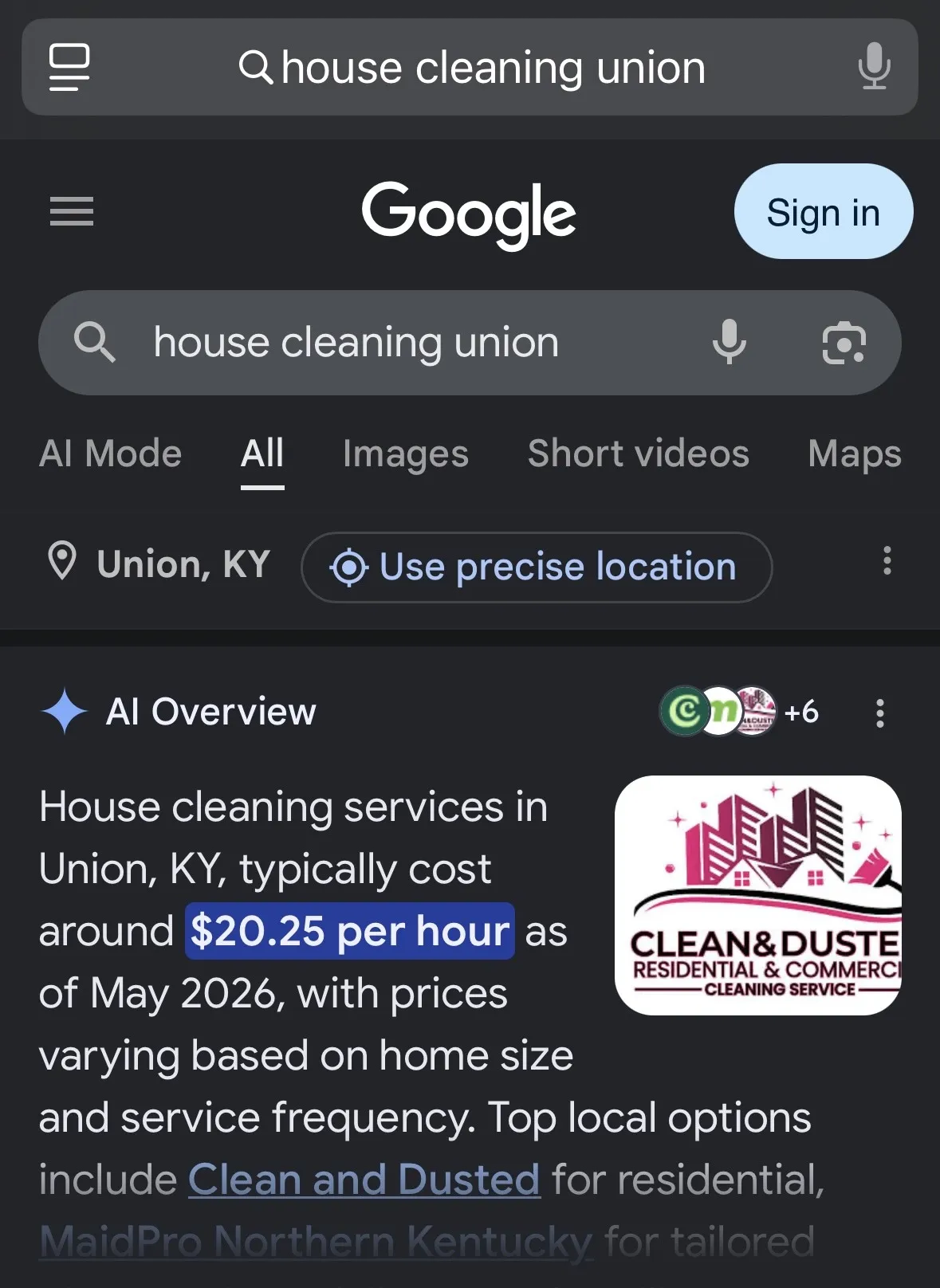Google AI Overview naming Clean & Dusted for house cleaning in Union, KY